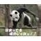 サークルのような