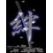 [D:F9BF][D:F99F][D:F9BF]片中３年[D:F9BF][D:F99F][D:F9BF]
