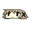 15ﾄﾋﾟ