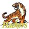 Hacker"Team-Tiger"